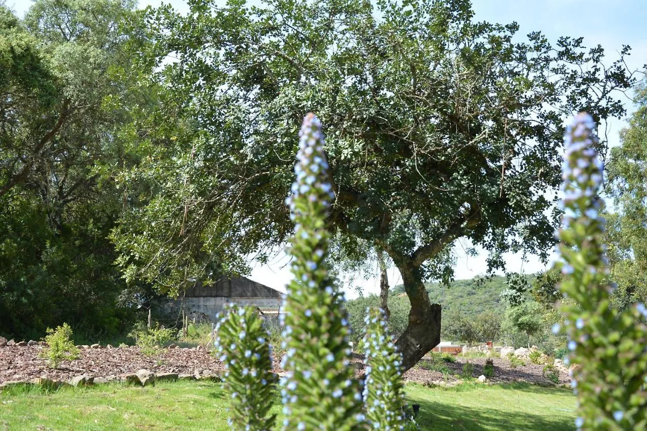 Quinta Do Freixo Portugal